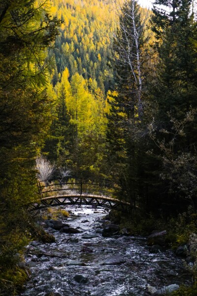 Горный отель Речные земли