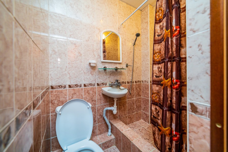 Виола - photo 1