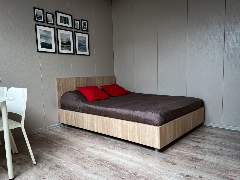 Vyborg comfort apartments