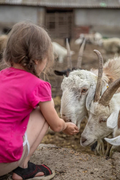 База Отдыха Глэмпинг Прибой