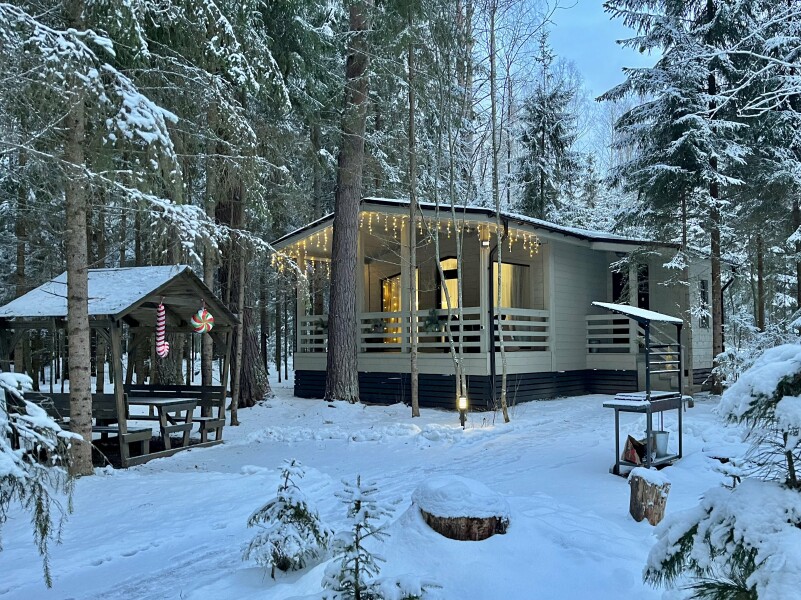 Сосновый бор гостевой дом на Селигере - photo 1