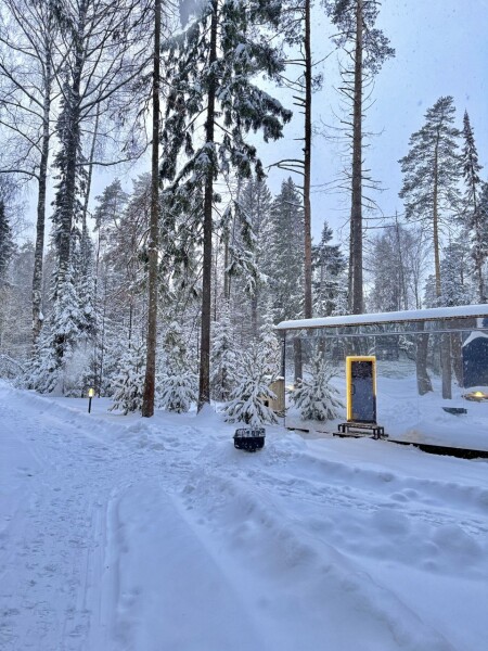 Окна в лес - photo 5