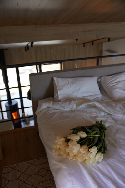 Альпака - photo 1