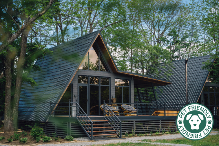 Заимка Узалы - photo 5