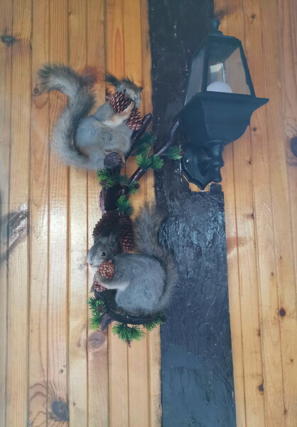 Гостевой дом Дениса Давыдова - photo 4