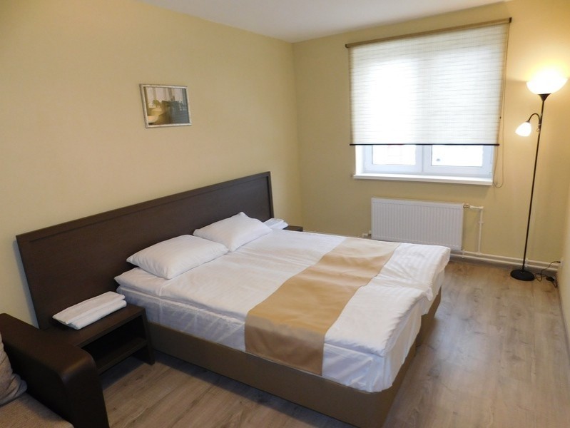 Papina Dacha Hotel - photo 4