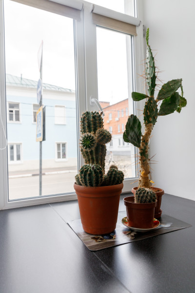 Мой год - photo 3