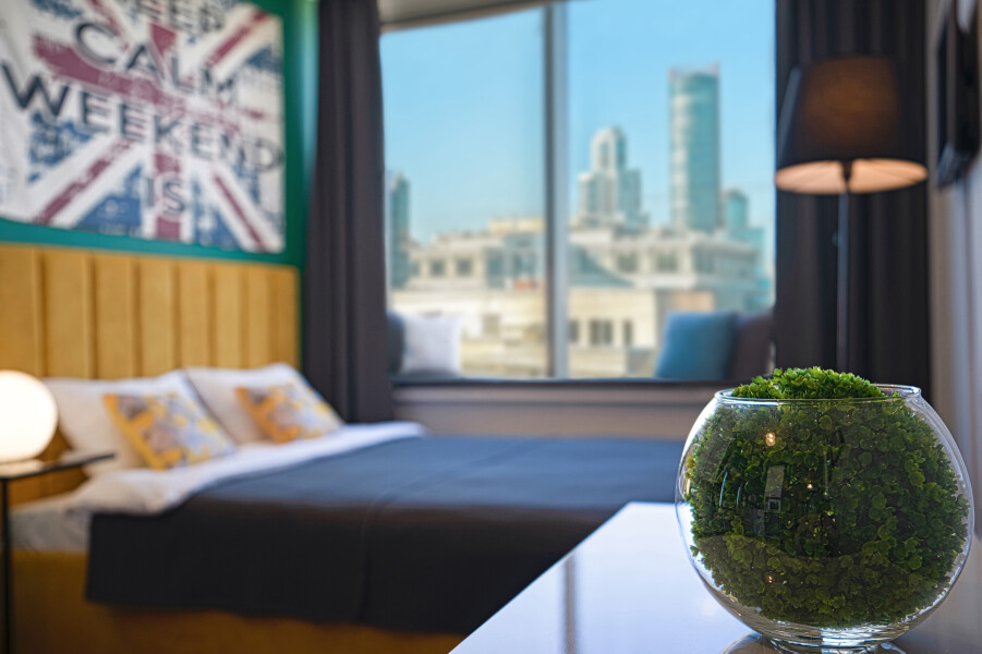 Single Hotel - photo 2