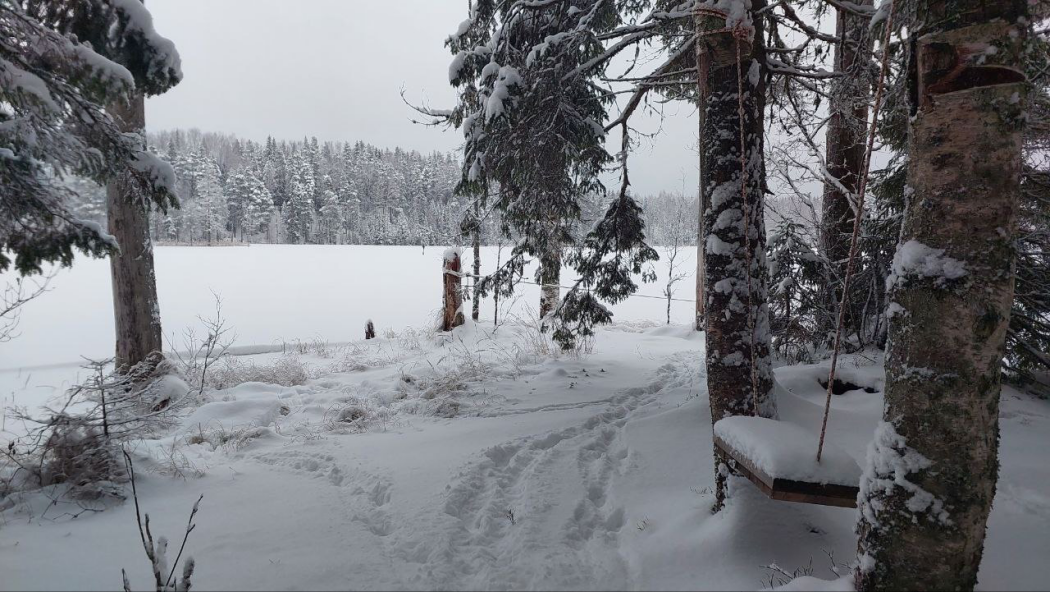 Глэмпинг Папоротник - photo 3