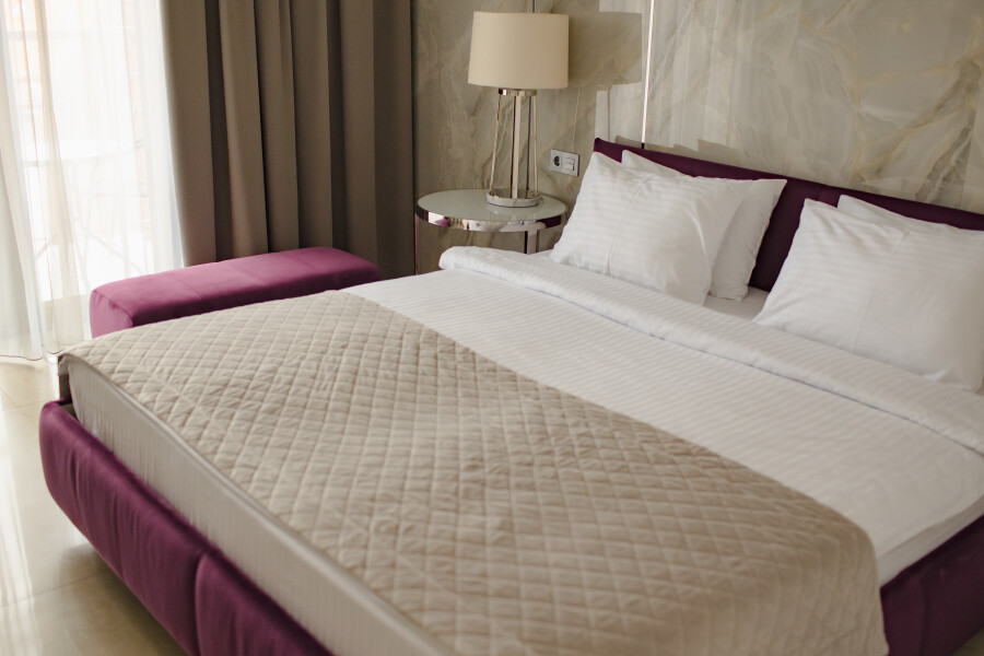 Две оливы - photo 4