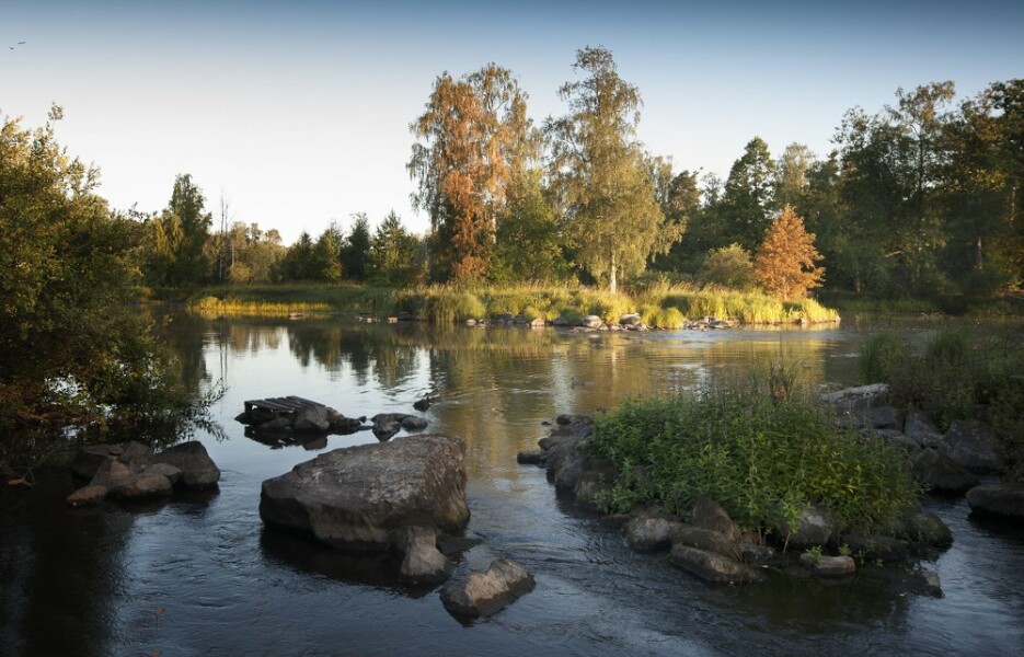 Робинзон - photo 2