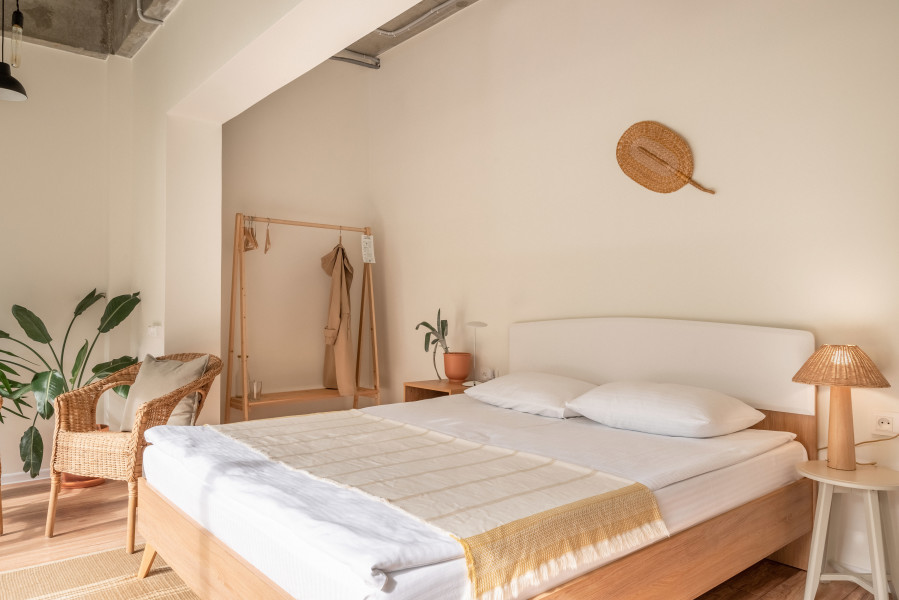 Plants and friends - photo 2