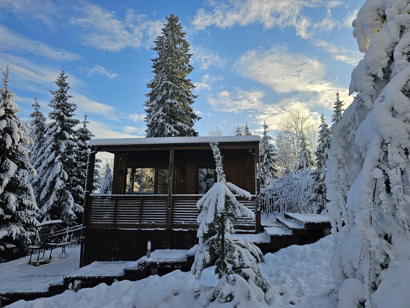 Коттеджный комплекс "Черничный склон"