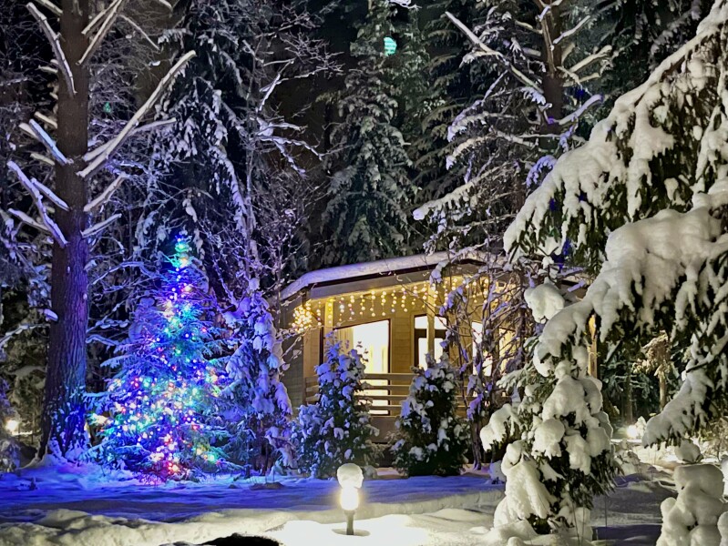 Сосновый бор гостевой дом на Селигере - photo 2