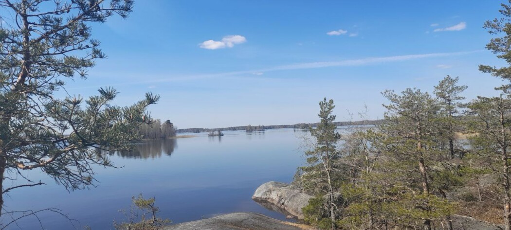 Робинзон - photo 5