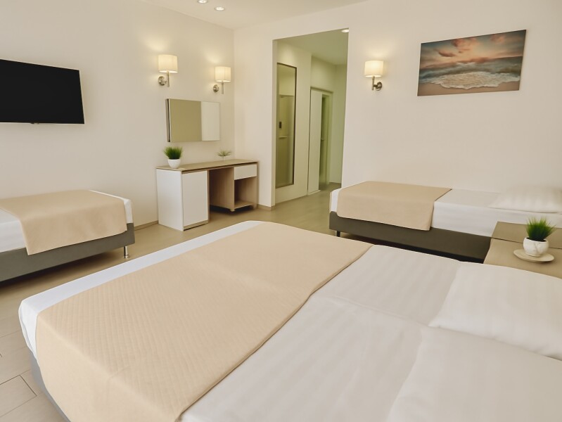 Hotel Remvi - photo 3