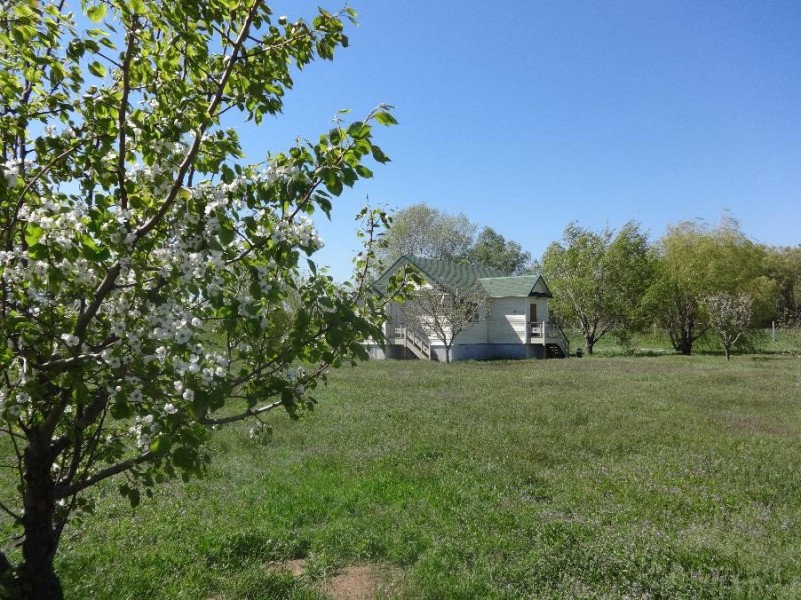 МЕСТО ВСТРЕЧИ, рыболовная база отдыха - photo 5