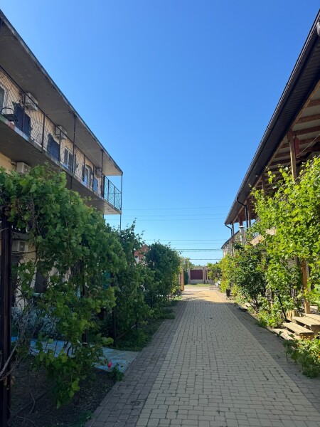 Черепаха - photo 5