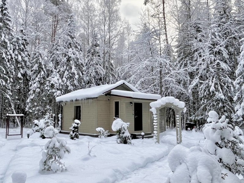 Сосновый бор гостевой дом на Селигере - photo 3