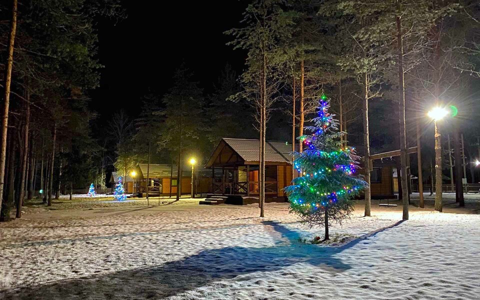 Три соловья - photo 3