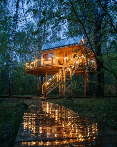 Лапочкино гнездо - дома на деревьях и боброленд - photo 3