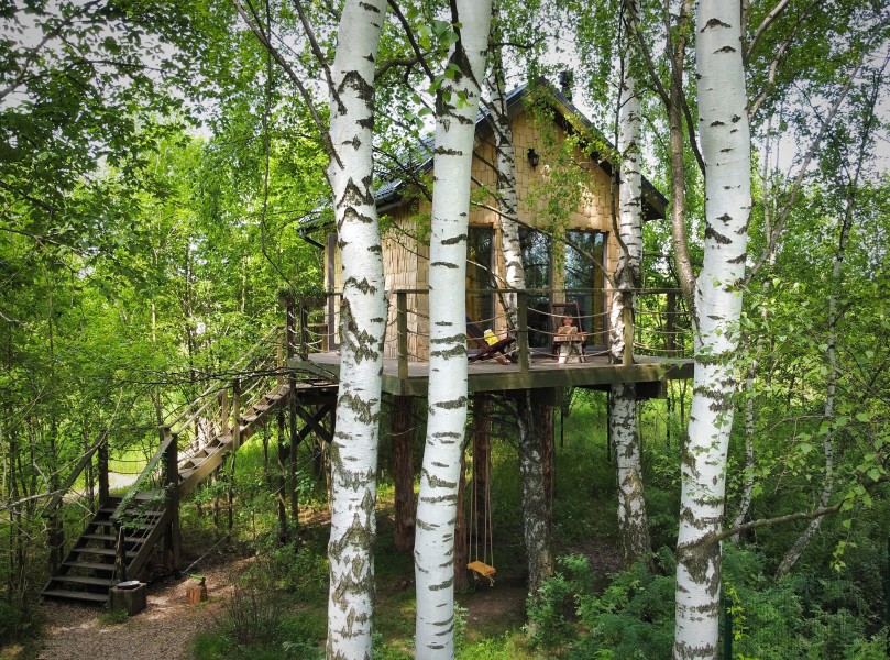 Лапочкино гнездо - дома на деревьях и боброленд - photo 4