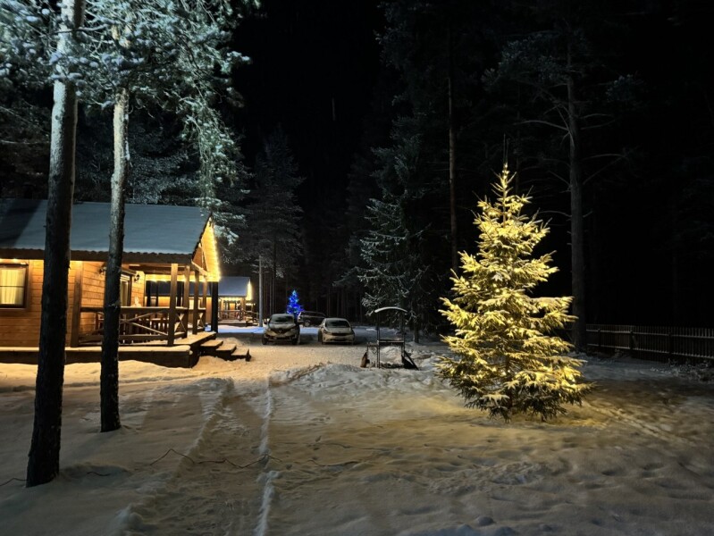 Три соловья - photo 4