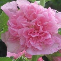 Санаторий «Ленинские скалы» - photo 3