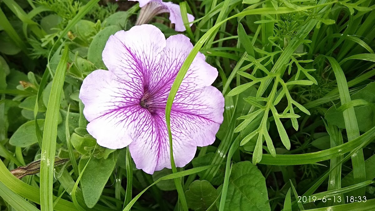 Фото к отзыву Михаил Михайлович #2