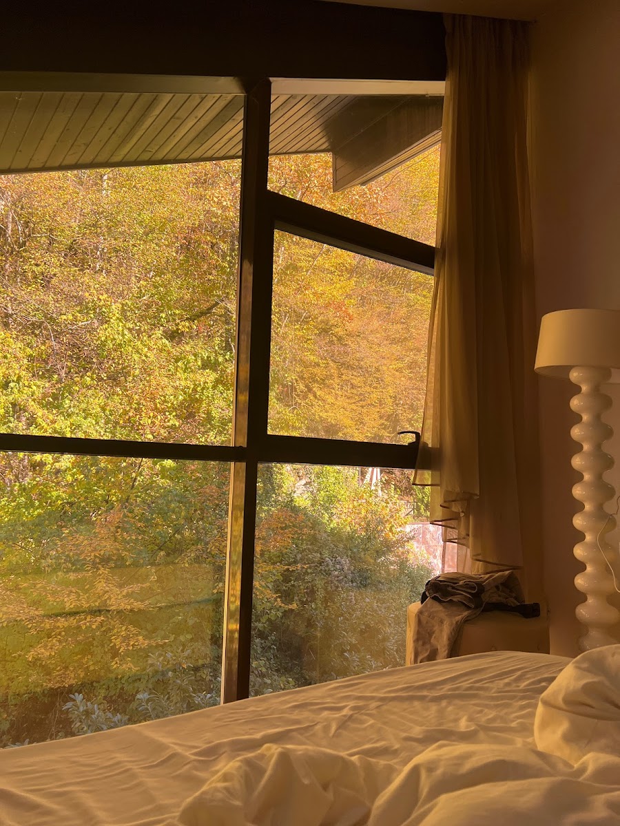 Фото к отзыву Город Мастеров #1