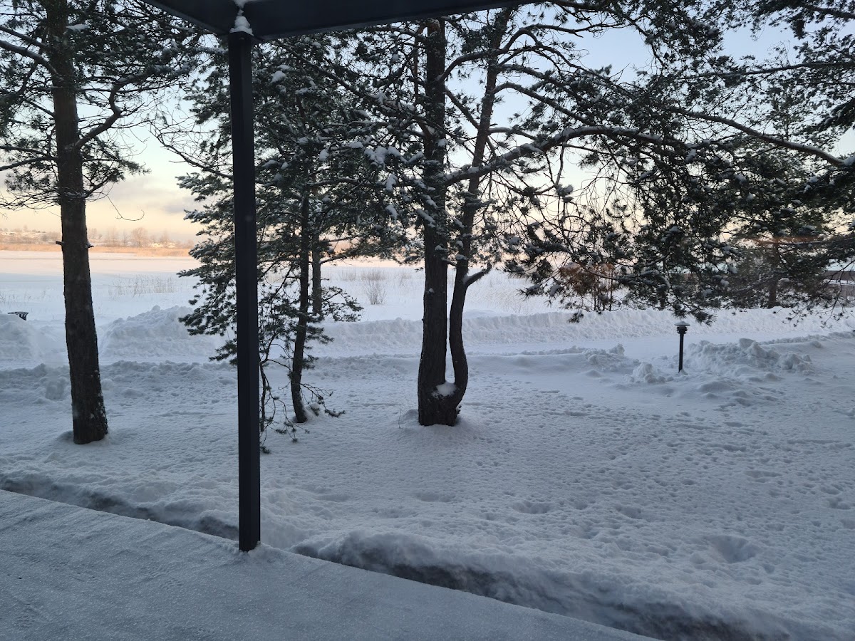 Фото к отзыву Екатерина Давыденко #1