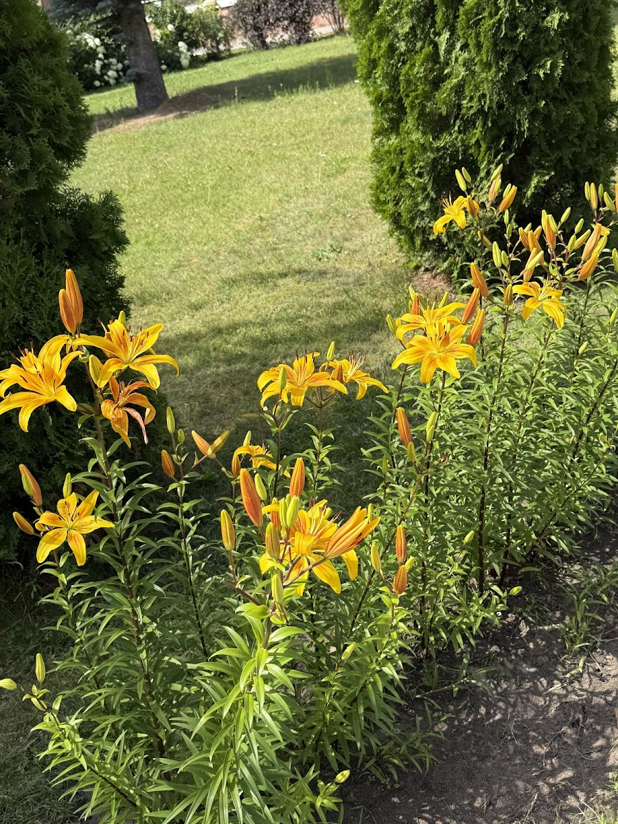 Фото к отзыву ЮЛИЯ КОМАХИНА #4