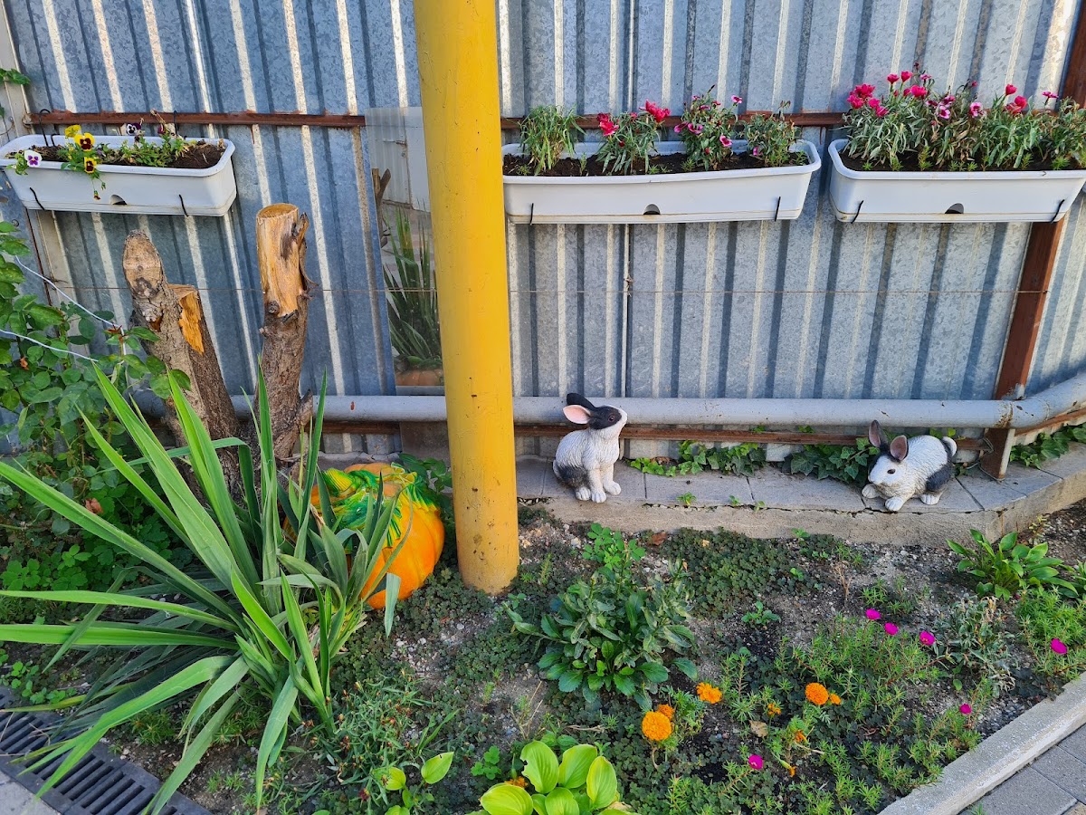 Фото к отзыву Irina MayFair #3