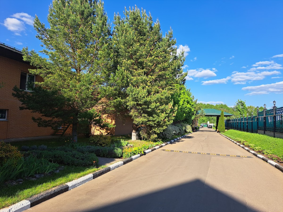 Фото к отзыву ксения любимова #1