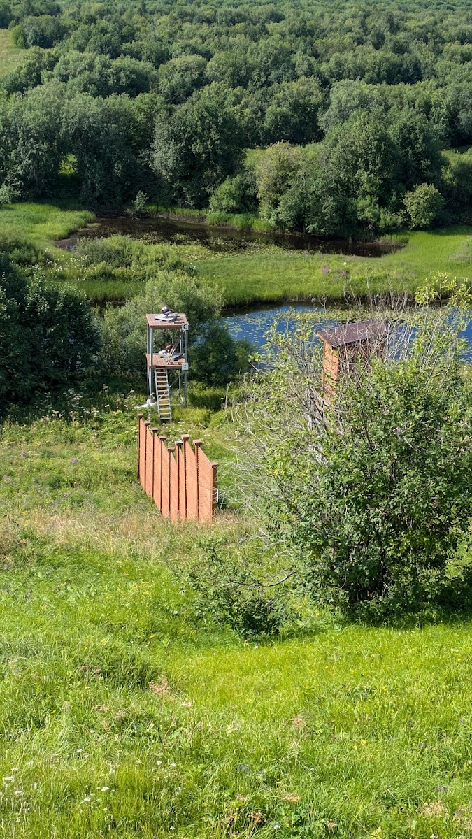 Фото к отзыву Daria Myalenkova #3