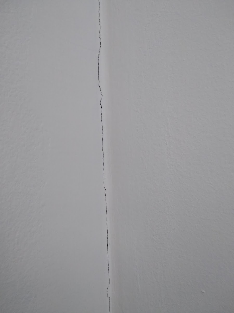 Фото к отзыву Алекс Дружинин #1