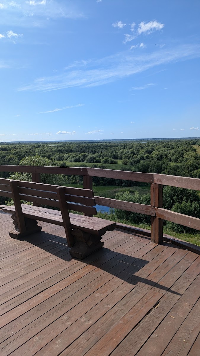 Фото к отзыву Daria Myalenkova #4