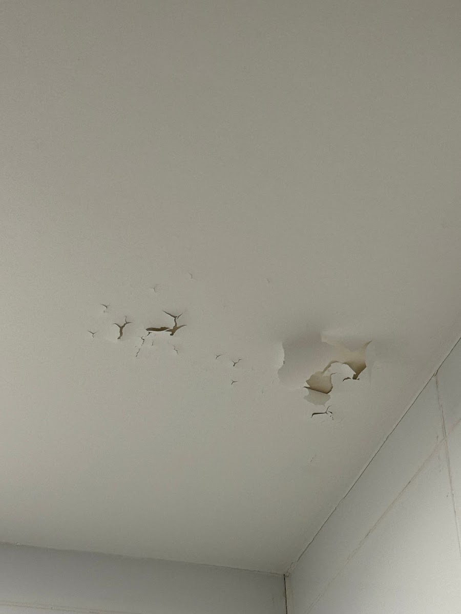 Фото к отзыву Александра Павлова #2