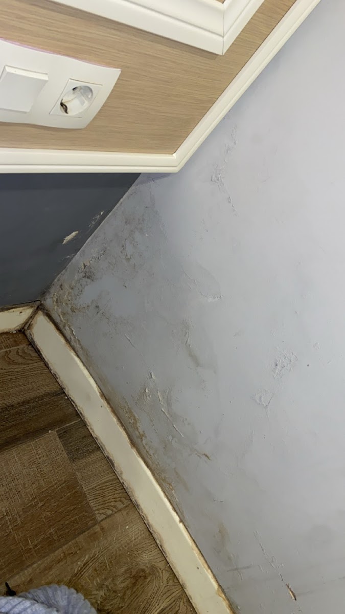 Фото к отзыву Annabelle Riou #2