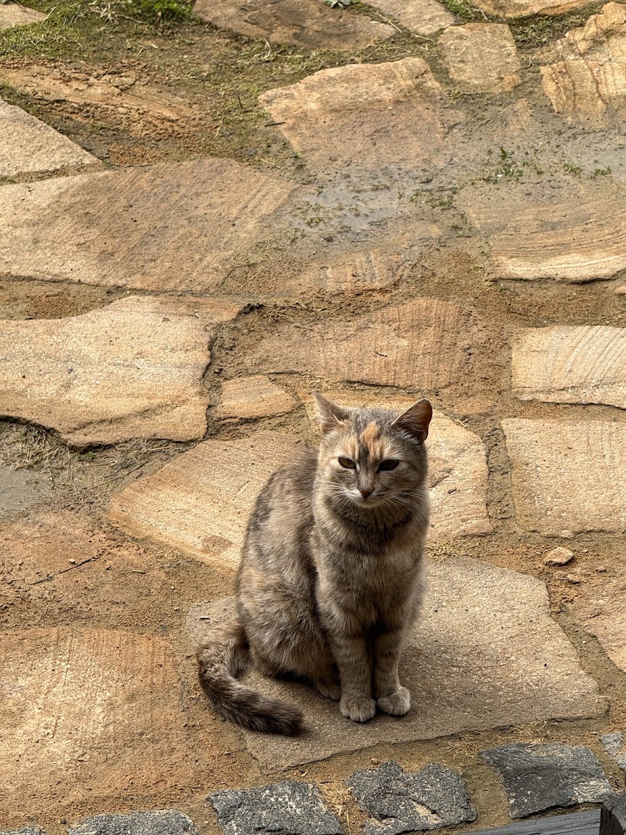 Фото к отзыву Viktoriia Kuznetsova #1