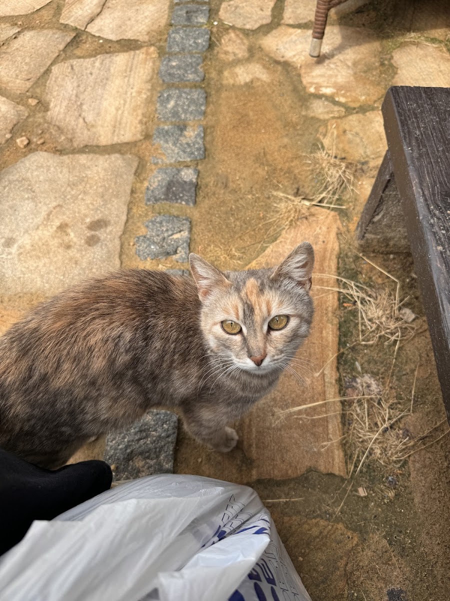 Фото к отзыву Viktoriia Kuznetsova #2