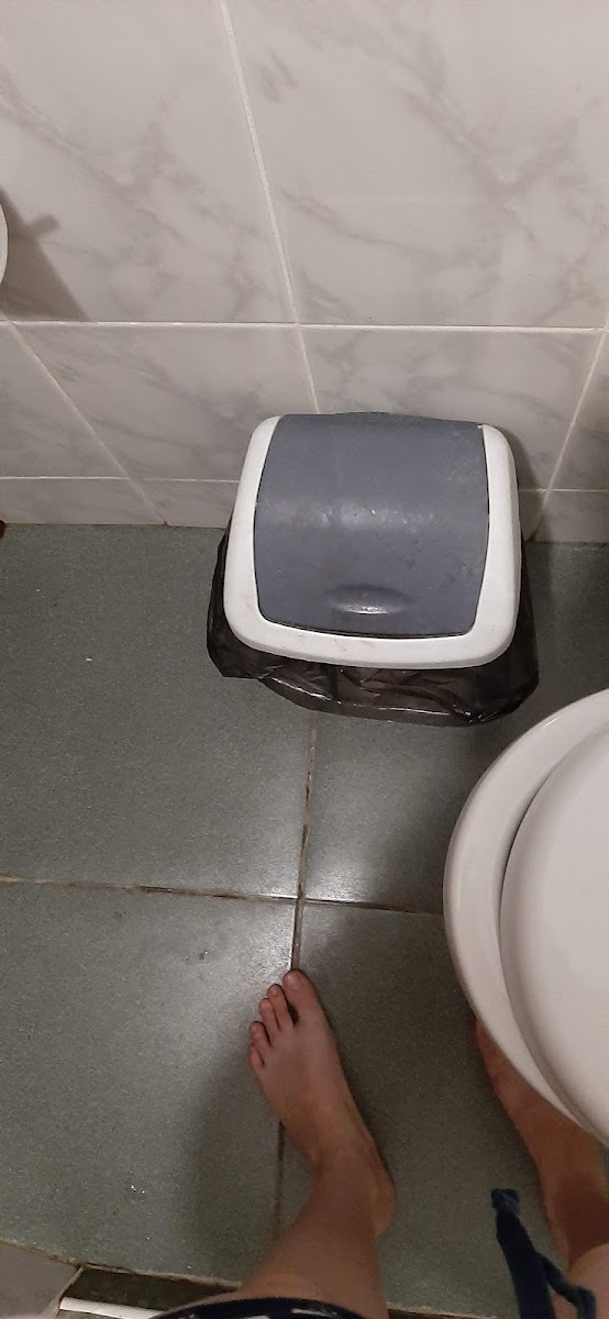 Фото к отзыву Mirumu Chi #4