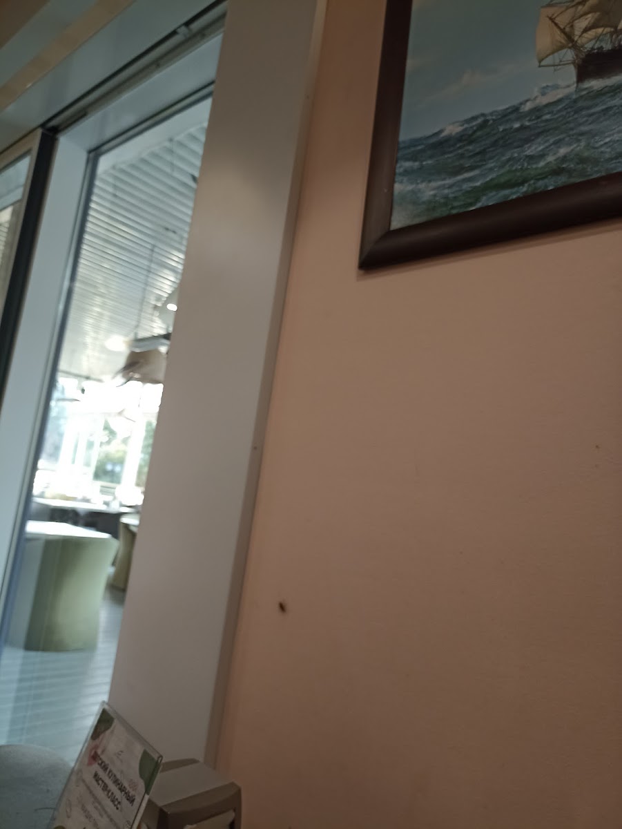 Фото к отзыву Екатерира Ильичева #1