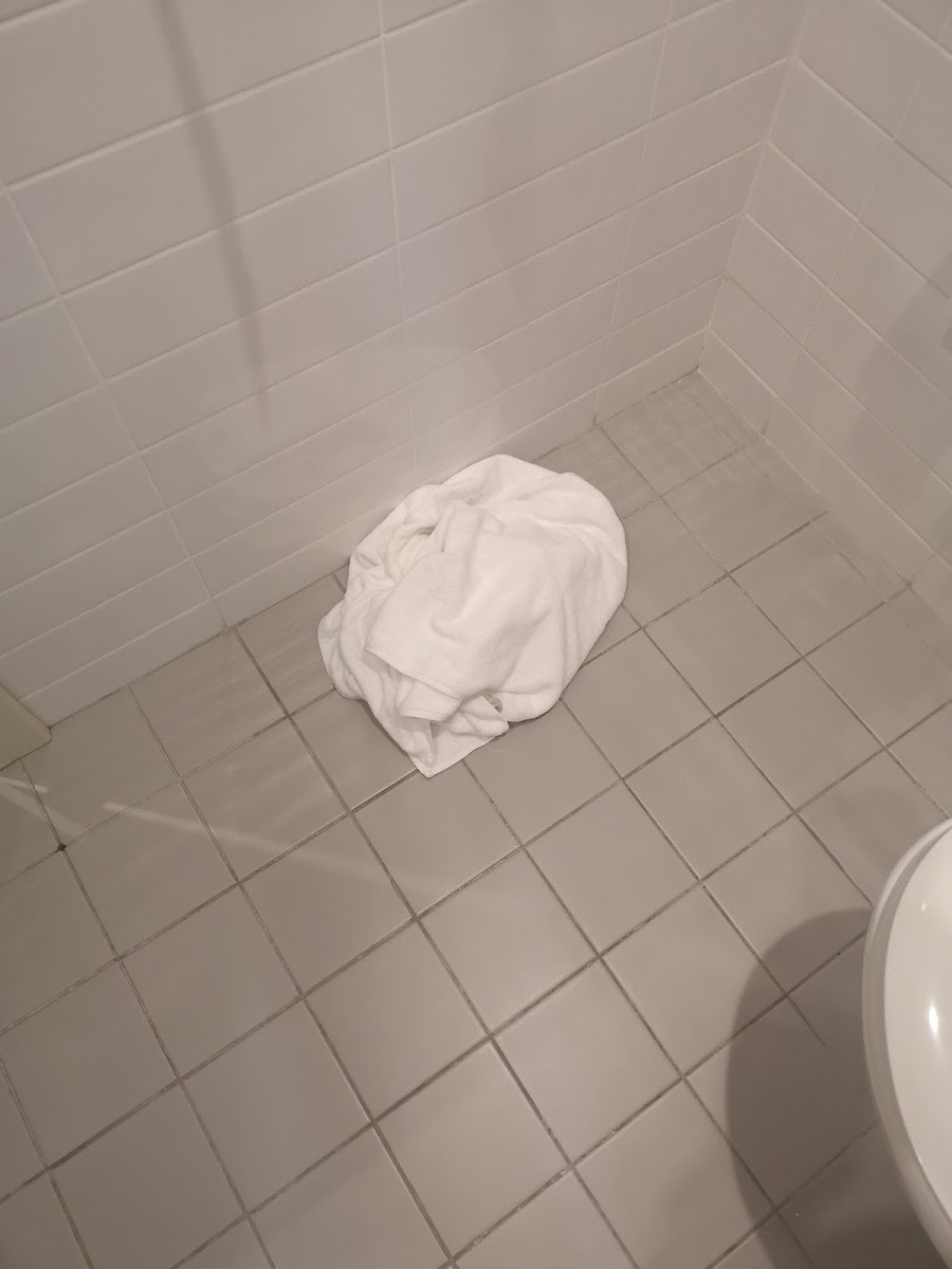 Фото к отзыву Daniil K #3