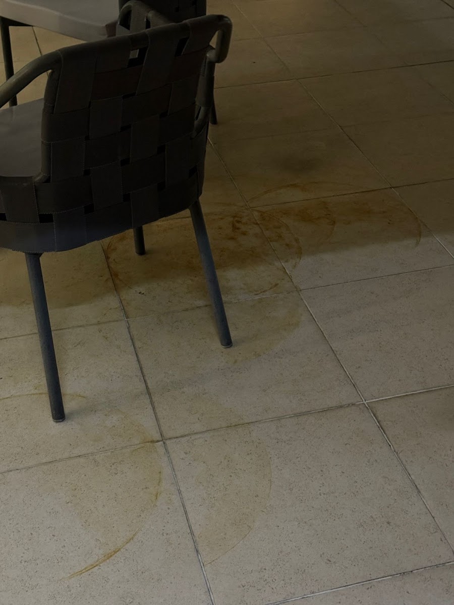 Фото к отзыву Александра Павлова #1