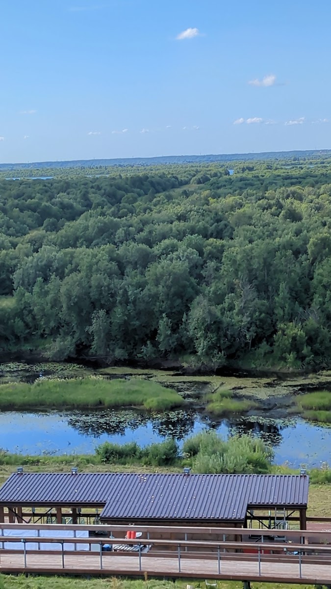 Фото к отзыву Daria Myalenkova #2