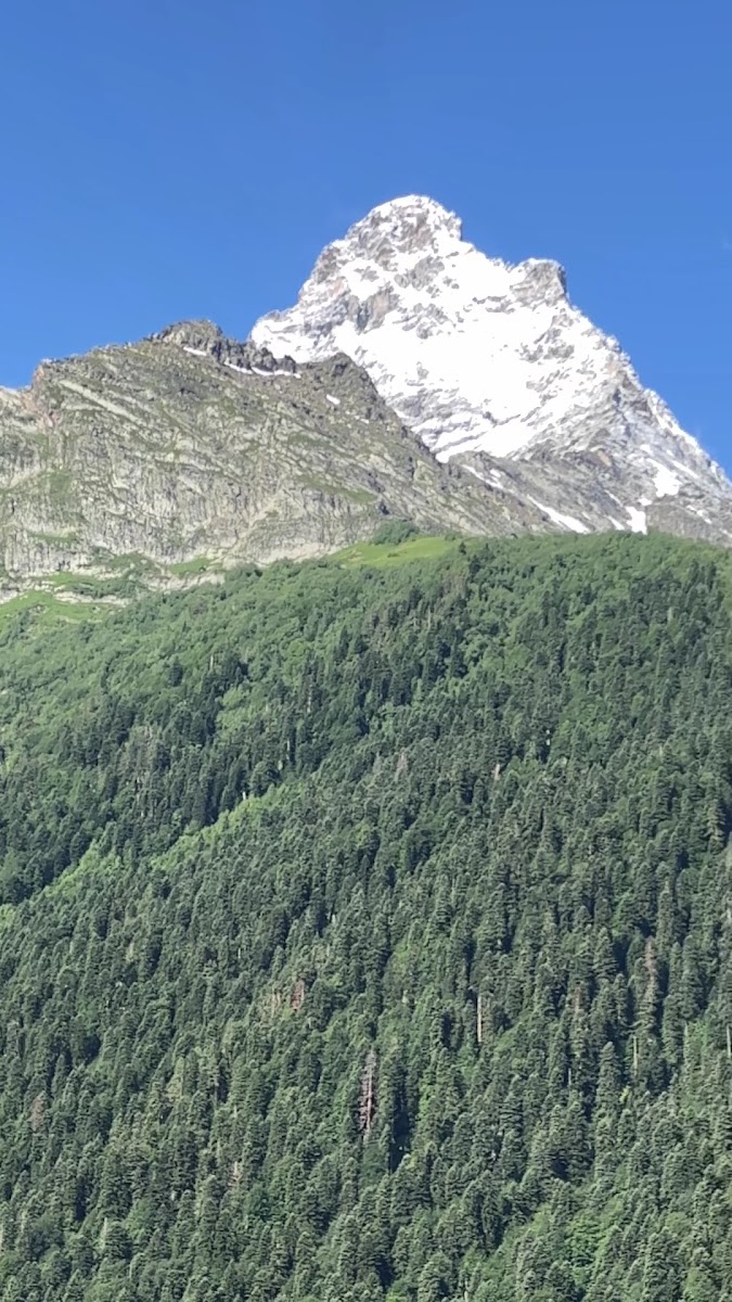 Фото к отзыву Ирина #1