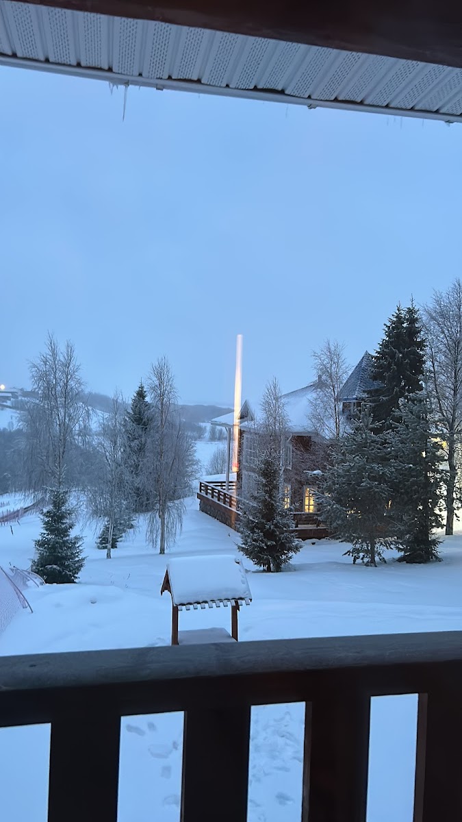 Фото к отзыву anastasia snezhnaya #1