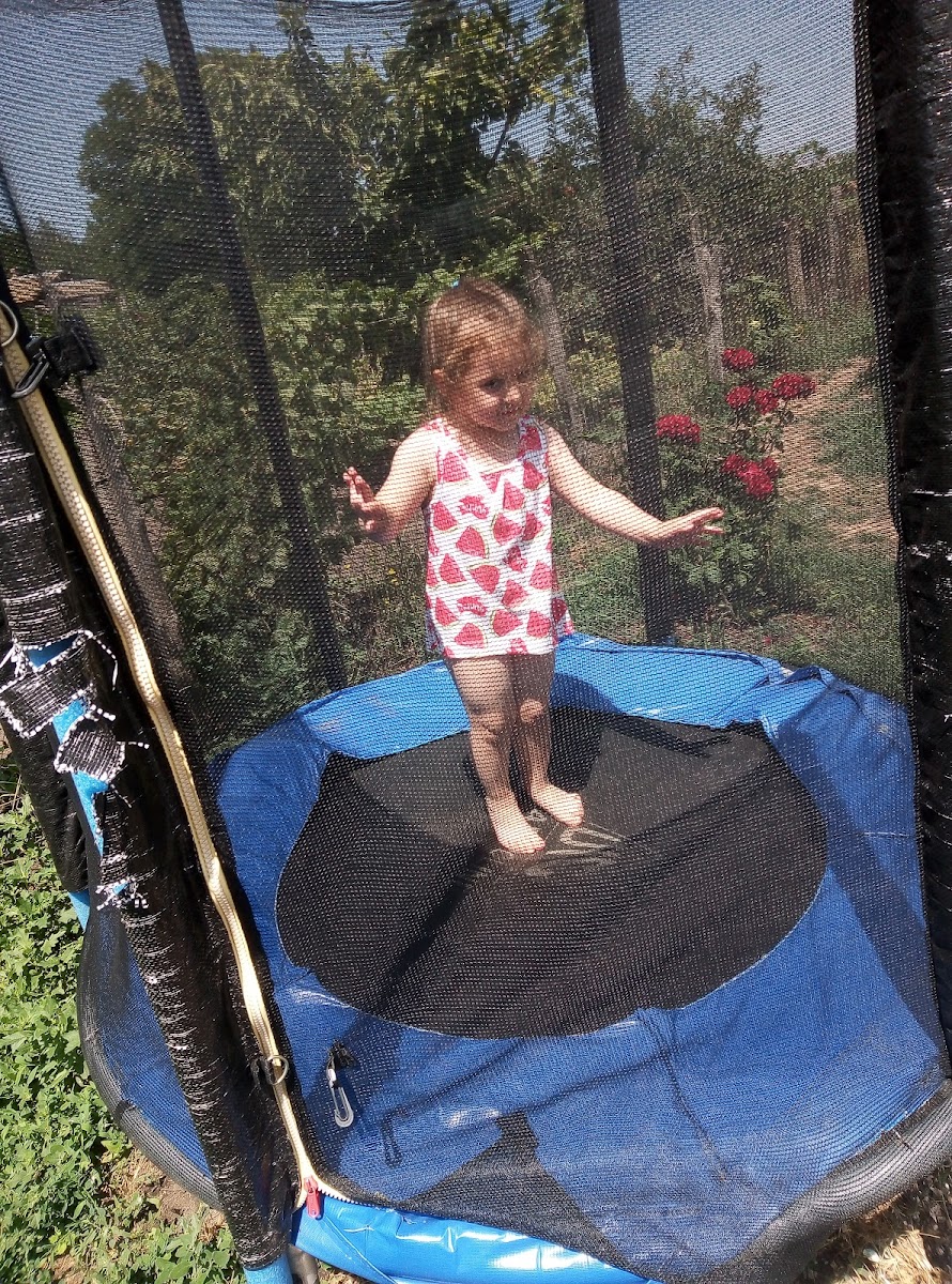 Фото к отзыву Ольга Дзись #2