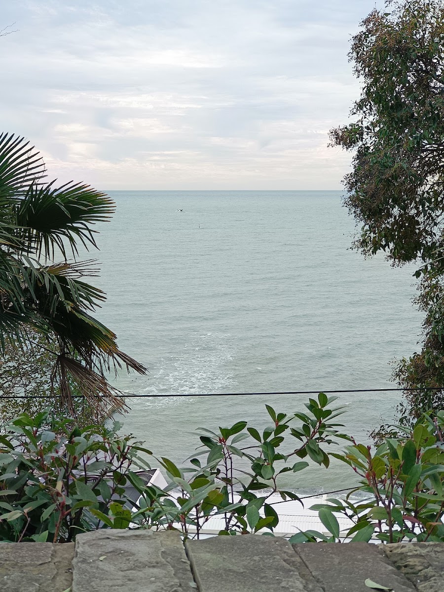 Фото к отзыву Катюша Касьянова #4